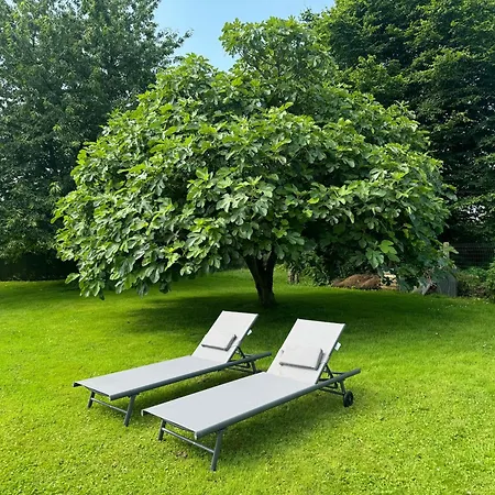 Old Rifles Bustier Farm A - 6 Personnes 別荘 *